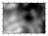 out-of-focus image 1