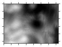 out-of-focus image 4