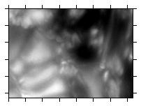 in-focus image 1