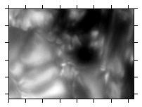 in-focus image 4